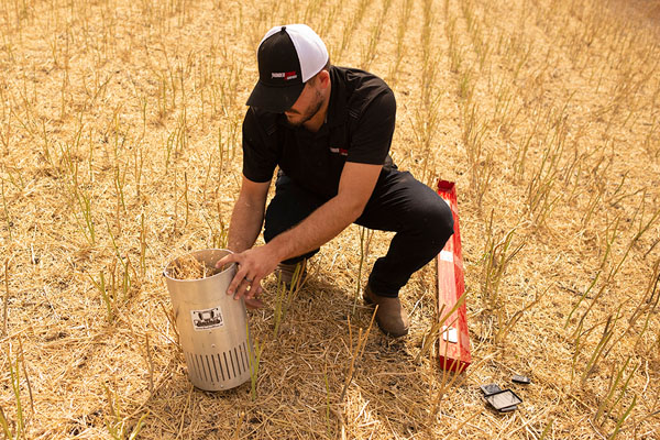 Farming in North America