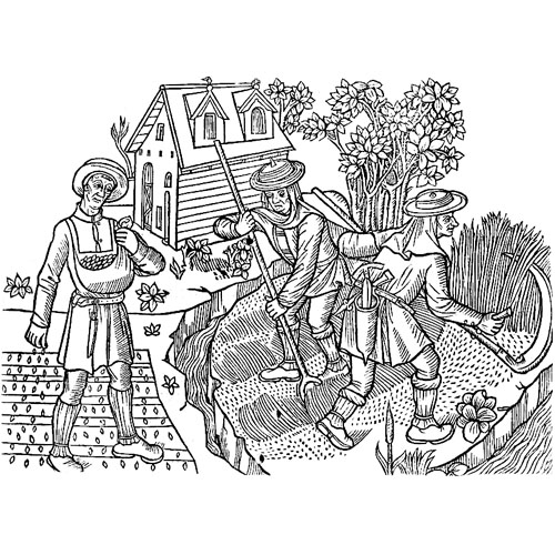 illustration of 15th century farmers working