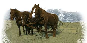 horse drawn