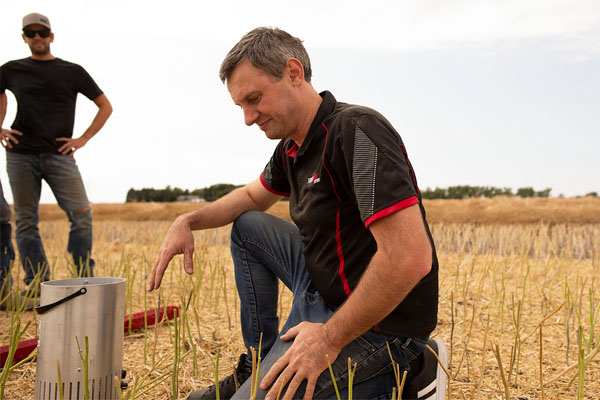 Petr in field