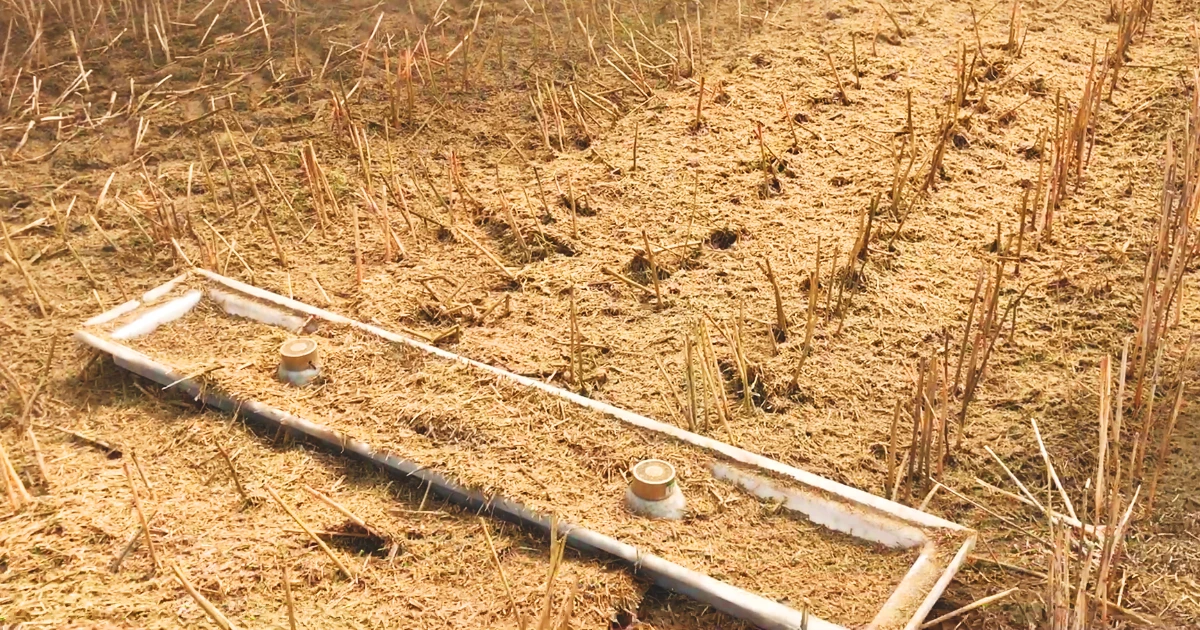 Schergain drop pan solution system in field