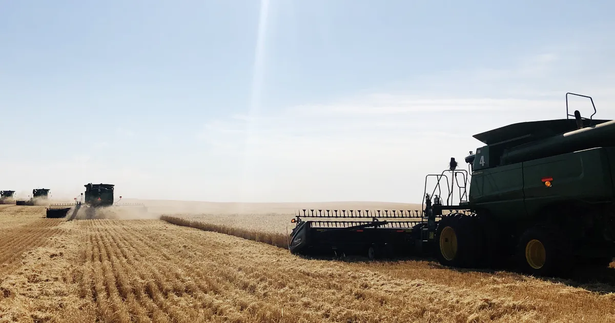 combines harvesting field with Duck Foot paddle tines