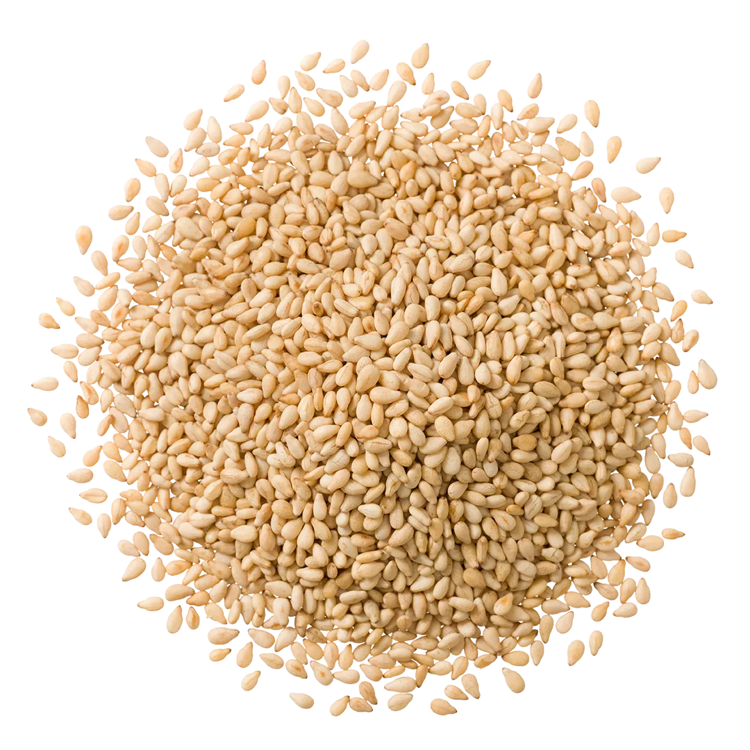 Sesame