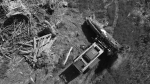 Thumbnail of http://SD%20Brush&SkeletonGrapple%20B&W