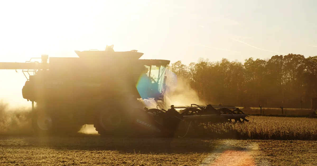 combine in field at sunrise