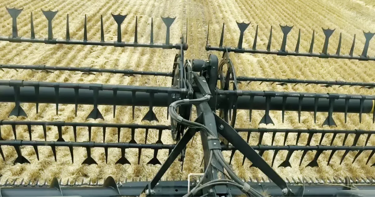 combine header with Duck Foot paddle tines