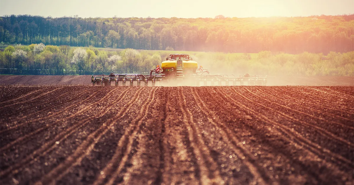 planter in field at sunset